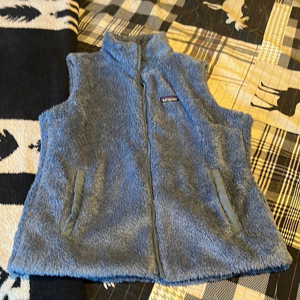 Patagonia blue fleece vest